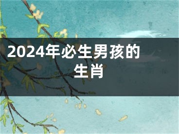2024年必生男孩的生肖