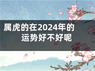 属虎的在2024年的运势好不好呢