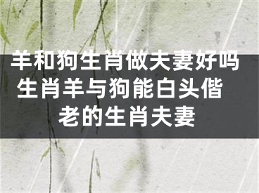 羊和狗生肖做夫妻好吗 生肖羊与狗能白头偕老的生肖夫妻