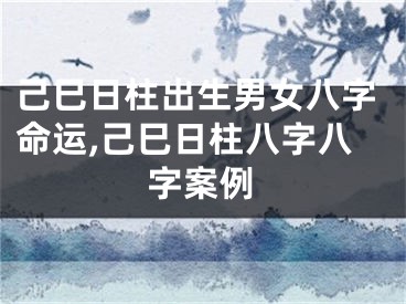 己巳日柱出生男女八字命运,己巳日柱八字八字案例