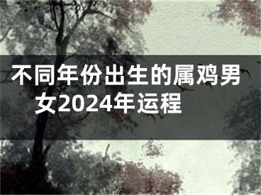 不同年份出生的属鸡男女2024年运程