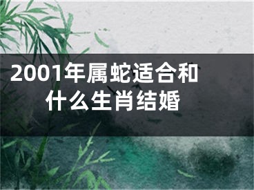 2001年属蛇适合和什么生肖结婚 