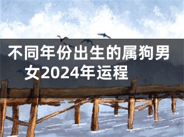 不同年份出生的属狗男女2024年运程
