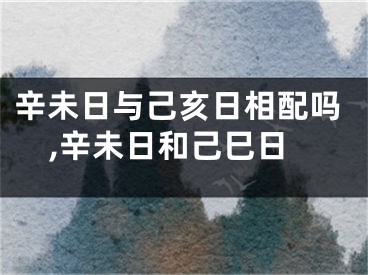 辛未日与己亥日相配吗,辛未日和己巳日