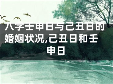 八字壬申日与己丑日的婚姻状况,己丑日和壬申日