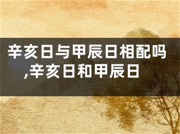 辛亥日与甲辰日相配吗,辛亥日和甲辰日