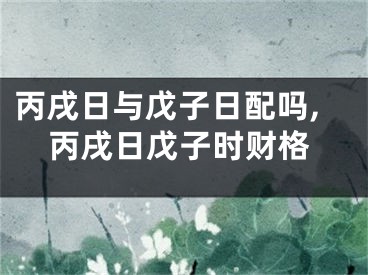 丙戌日与戊子日配吗,丙戌日戊子时财格