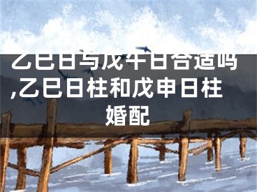 乙巳日与戊午日合适吗,乙巳日柱和戊申日柱婚配