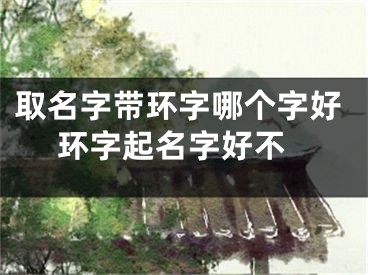 取名字带环字哪个字好 环字起名字好不