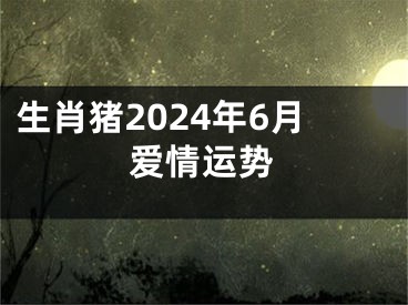 生肖猪2024年6月爱情运势