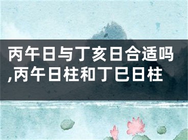 丙午日与丁亥日合适吗,丙午日柱和丁巳日柱
