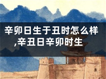 辛卯日生于丑时怎么样,辛丑日辛卯时生