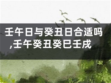 壬午日与癸丑日合适吗,壬午癸丑癸巳壬戌