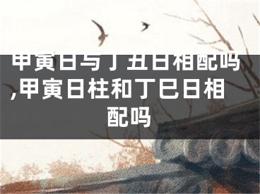 甲寅日与丁丑日相配吗,甲寅日柱和丁巳日相配吗