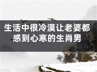 生活中很冷漠让老婆都感到心寒的生肖男