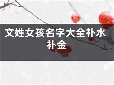 文姓女孩名字大全补水补金