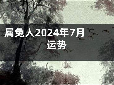 属兔人2024年7月运势