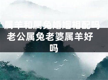 属羊和属兔婚姻相配吗 老公属兔老婆属羊好吗