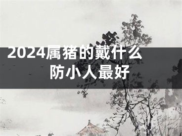 2024属猪的戴什么防小人最好