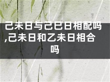 己未日与己巳日相配吗,己未日和乙未日相合吗