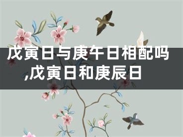 戊寅日与庚午日相配吗,戊寅日和庚辰日