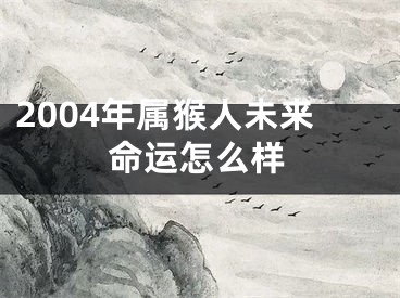 2004年属猴人未来命运怎么样