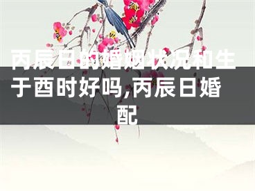 丙辰日的婚姻状况和生于酉时好吗,丙辰日婚配