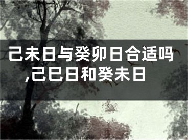 己未日与癸卯日合适吗,己巳日和癸未日
