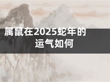 属鼠在2025蛇年的运气如何