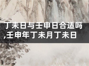 丁未日与壬申日合适吗,壬申年丁未月丁未日