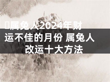 ​属兔人2024年财运不佳的月份 属兔人改运十大方法