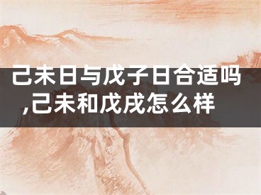 己未日与戊子日合适吗,己未和戊戌怎么样