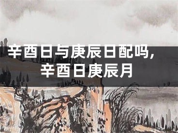 辛酉日与庚辰日配吗,辛酉日庚辰月