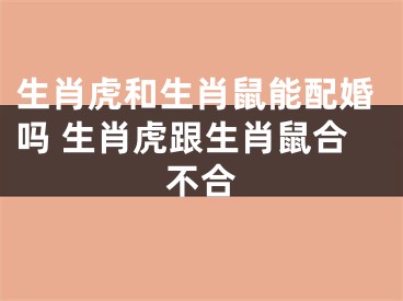 生肖虎和生肖鼠能配婚吗 生肖虎跟生肖鼠合不合