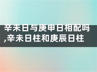 辛未日与庚申日相配吗,辛未日柱和庚辰日柱