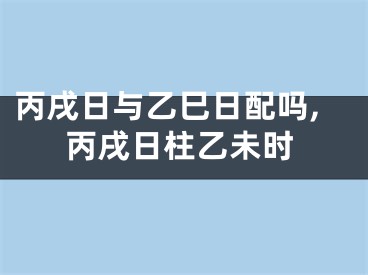 丙戌日与乙巳日配吗,丙戌日柱乙未时