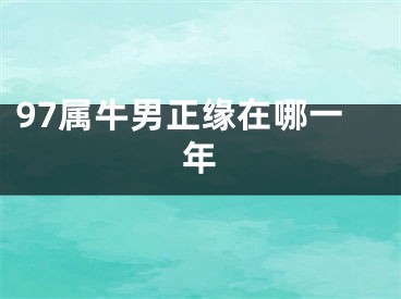 97属牛男正缘在哪一年