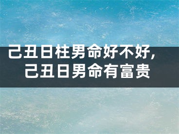 己丑日柱男命好不好,己丑日男命有富贵