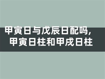 甲寅日与戊辰日配吗,甲寅日柱和甲戌日柱