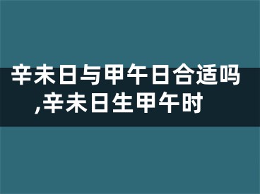 辛未日与甲午日合适吗,辛未日生甲午时
