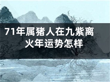 71年属猪人在九紫离火年运势怎样