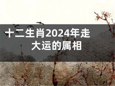 十二生肖2024年走大运的属相