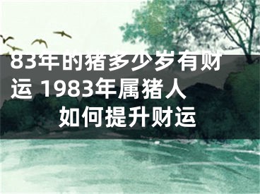 83年的猪多少岁有财运 1983年属猪人如何提升财运