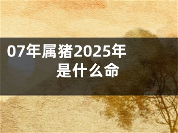 07年属猪2025年是什么命