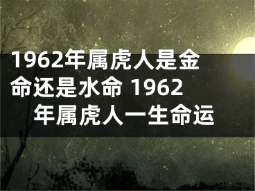 1962年属虎人是金命还是水命 1962年属虎人一生命运