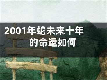 2001年蛇未来十年的命运如何