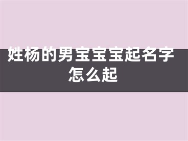 姓杨的男宝宝宝起名字怎么起