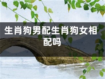 生肖狗男配生肖狗女相配吗