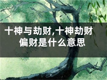 十神与劫财,十神劫财偏财是什么意思