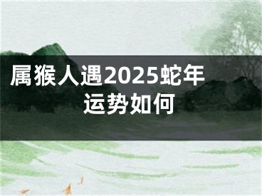 属猴人遇2025蛇年运势如何